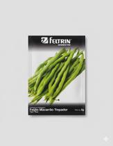 Semente de Feijão Vagem Tempesta Trepador Feltrin Envelope 2g Semente de Feijão Vagem Tempesta Trepador Feltrin Envelope 2g
