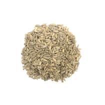 Semente de Girassol Torr. S/Casca e S/Sal 100g Semente de Girassol Torr. S/Casca e S/Sal 100g