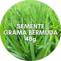 Semente de Grama Bermuda Fina Kit com 48g Pronto Para Plantio - Isla