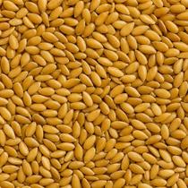 Semente de Linhaça Dourada 100g Semente de Linhaça Dourada 100g