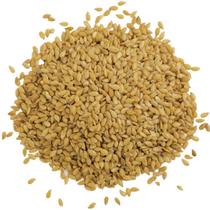 Semente de Linhaça Dourada 1Kg - DaFoods Semente de Linhaça Dourada 1Kg - DaFoods