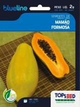 Semente de mamão formosa cartela c/2g - 140 sementes - TOPSEED Semente de mamão formosa cartela c/2g - 140 sementes - TOPSEED