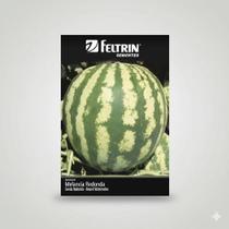 Semente de Melancia Redonda Crimson Sweet Envelope 1g