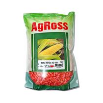 Semente De Milho Verde Híbrido Silagem Pamonha 1051 1kg - Agross