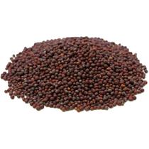 Semente De Mostarda Preta Para Acupuntura Auricular - 100g Semente De Mostarda Preta Para Acupuntura Auricular - 100g