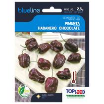 Semente de Pimenta Habanero Chocolate Blueline TOPSEED Semente de Pimenta Habanero Chocolate Blueline TOPSEED