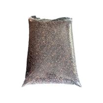 Semente de Pinus Taeda 1KG