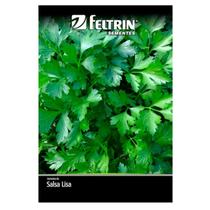 Semente de Salsa Lisa Graúda Portuguesa nova Seleção Golden Feltrin