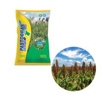 Semente de Sorgo Bicolor BRS Ponta Negra - 10 Kg Semente de Sorgo Bicolor BRS Ponta Negra - 10 Kg