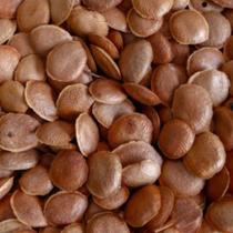 Semente de Sucupira Graúda 1kg