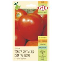 Semente de Tomate Santa Cruz Kada (Paulista) 250mg - Cultive Tomates Doces e Suculentos!