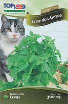 Semente Erva Dos Gatos Topseed C026 -10 Pacotes - Praxedes Semente Erva Dos Gatos Topseed C026 -10 Pacotes - Praxedes