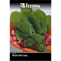 Semente Feltrin Golden Rúcula Apreciatta Folha Larga 5g Semente Feltrin Golden Rúcula Apreciatta Folha Larga 5g