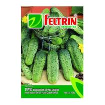 Semente Feltrin Pepino Wisconsin - Com 25Un Semente Feltrin Pepino Wisconsin - Com 25Un
