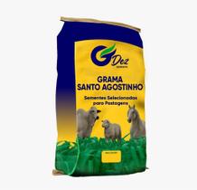Semente Grama Santo Agostinho 1 kg