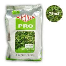 Semente Grama São Carlos (Folha Larga) 500g ISLA Semente Grama São Carlos (Folha Larga) 500g ISLA