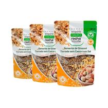 Semente Importada de Girassol Torrada sem Casca com Sal Qualidade Premium Kit 3 100g
