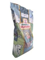 Semente Incrustada Piatã Matsuda 20kg Alta Proteína Ideal Para Pastagem