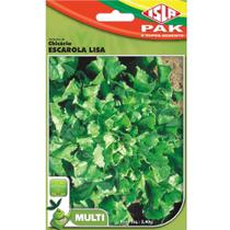 Semente Isla Multi Chicória Lisa