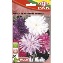 Semente Isla Multi Flores Aster Pluma de Avestruz