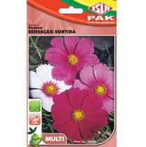 Semente Isla Multi Flores Cosmea Sortida