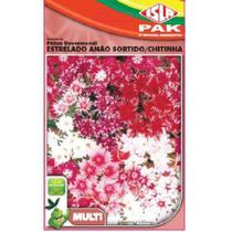 Semente Isla Multi Flores Phlox Drumondi Sortido Semente Isla Multi Flores Phlox Drumondi Sortido