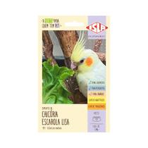 Semente Isla Multi Pet Chicória Escarola Lisa - 2,40g