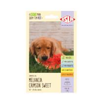 Semente Isla Multi Pet Melancia Crimson Sweet - 3,50g