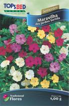 Semente Maravilha Dos Jardins Sortida Topseed F073 -10 Pacotes - Praxedes Semente Maravilha Dos Jardins Sortida Topseed F073 -10 Pacotes - Praxedes