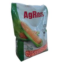Semente milho hibrido ag 1051 pacote 1 kg - agross