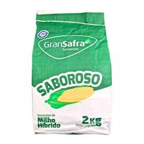 Semente Milho Híbrido Saboroso BRS3046 2KG Para Pamonha Cural