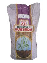 Semente Nua Capim Mombaça 15kg Crescimento Rápido e Produtivo - Matsuda