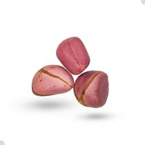 Semente Obi Africano 4 Gomo Ritual Candomblé 1 Unidade Semente Obi Africano 4 Gomo Ritual Candomblé 1 Unidade