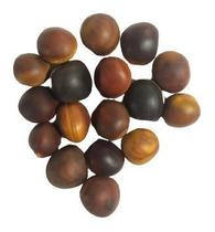 Semente Olho De Boi Natural Seca Decoração Enfete Presente Semente Olho De Boi Natural Seca Decoração Enfete Presente