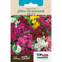 Semente Phlox Drummond Sortido F034 Topseed Semente Phlox Drummond Sortido F034 Topseed