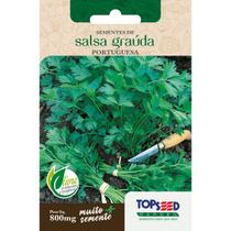 Semente Salsa Grauda Portuguesa H094 Topseed Semente Salsa Grauda Portuguesa H094 Topseed