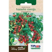 Semente Tomate Cereja Samambaia H155 Topseed Semente Tomate Cereja Samambaia H155 Topseed