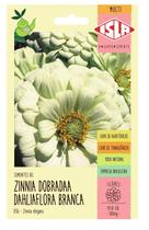 Semente Zinnia Dahliaflora Branca Gigante Da Califórnia ISLA Semente Zinnia Dahliaflora Branca Gigante Da Califórnia ISLA