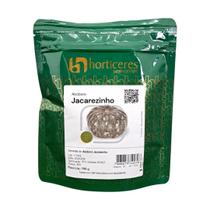 Sementes Abóbora Jacarezinho 100g Alta Produtividade Horticeres Sementes Abóbora Jacarezinho 100g Alta Produtividade Horticeres