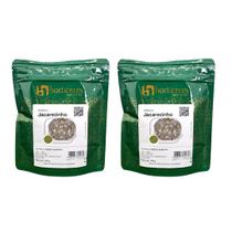 Sementes Abóbora Jacarezinho 200g Alta Produtividade Horticeres Sementes Abóbora Jacarezinho 200g Alta Produtividade Horticeres