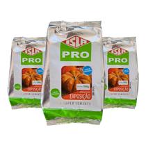 Sementes Abóbora Moranga Mesa 1,5kg Isla Adaptável a Temperaturas Quentes ou Amenas Sementes Abóbora Moranga Mesa 1,5kg Isla Adaptável a Temperaturas Quentes ou Amenas