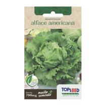 Sementes Alface Americana (Grandes Lagos) TOPSEED