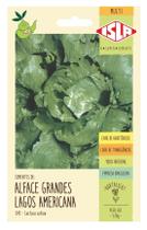 Sementes Alface Americana Isla Sementes Alface Americana Isla