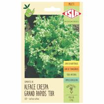Sementes Alface Crespa Isla Sementes Alface Crespa Isla