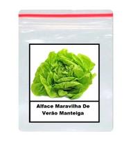 Sementes Alface Maravilha De Verão Manteiga 100 unidades Sementes Alface Maravilha De Verão Manteiga 100 unidades