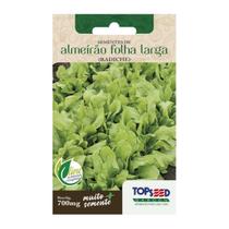 Sementes Almeirão De Folha Larga (Radiche) TOPSEED Sementes Almeirão De Folha Larga (Radiche) TOPSEED