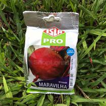 Sementes Beterraba Maravilha Isla 100g Kit 4 un