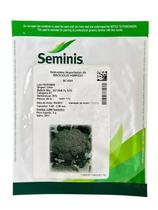 Sementes Brócolis Híbrido Bc1691 1000 Sementes - SEMINIS
