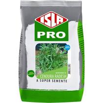 Sementes Brotos de Microverdes de Cenoura Radesh (100g) ISLA Sementes Brotos de Microverdes de Cenoura Radesh (100g) ISLA