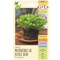 Sementes Brotos Microverdes de Alface Deva ISLA